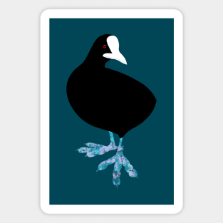 Common Coot - the abstract Bird Magnet